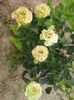 20150613_172329