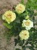 20150613_172347