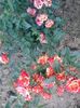 20150613_193446