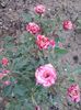 20150613_193506