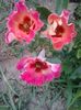 20150613_193744