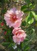 20150614_074525