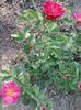 20150614_074540