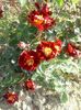 20150614_082501