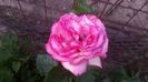 20150614_205332