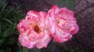 20150614_205318
