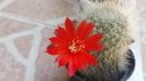 20150614_113640