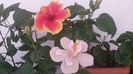 20150615_095750