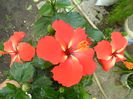 SAM_6072