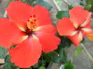 SAM_6074