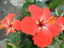 SAM_6075