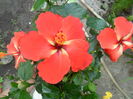 SAM_6076