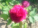 20150614_093121