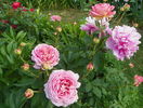 Jubilee Celebration