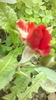 2015-05-30-2390