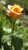 2015-06-06-2401
