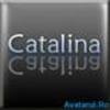 imagesCAX5JDTW