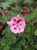 DSC04199