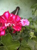 DSC04207