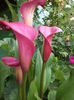 DSC04212