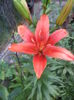 DSC04218