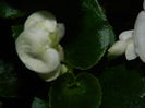 DSCN9319