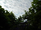 DSCN9358