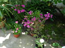 DSCN9371