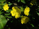 DSCN9375