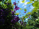 DSCN9405