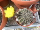 SAM_0109