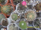 SAM_0118