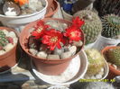 SAM_0160