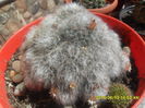 SAM_0162