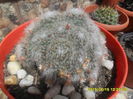 SAM_0206