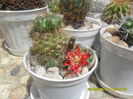 SAM_0203