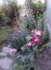 DSC00264