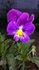 20150523_200507