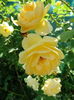 DSC09013