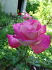 DSC09014