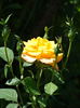 DSC09028