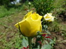 DSC09033