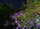 DSCN9487