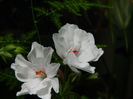 DSCN9574