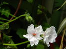 DSCN9576