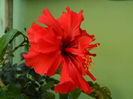 DSCN9616