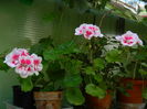 DSCN9627