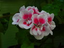DSCN9629