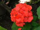 DSCN9631