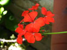 DSCN9632